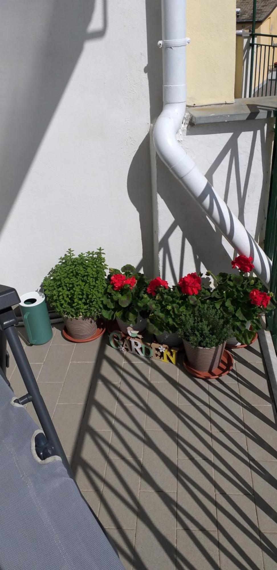 Apartament Aa Ciasea Duu Pintuu Riomaggiore Zewnętrze zdjęcie
